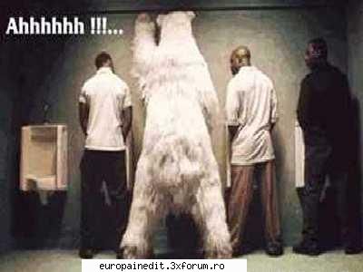 cu un urs - wolf - Funny